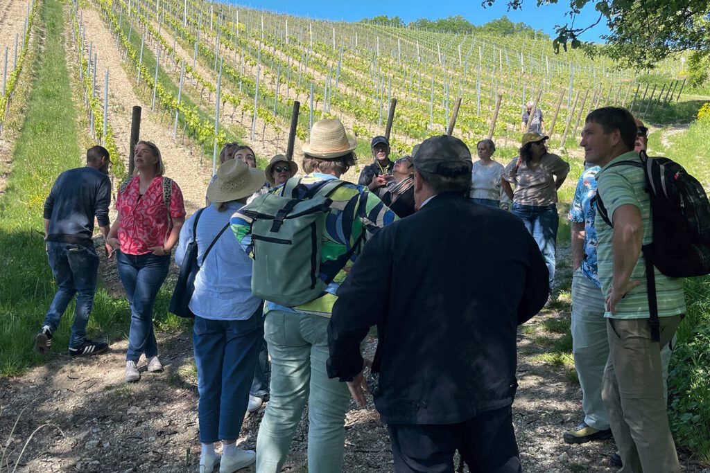 Weinwandern_Retzstadt